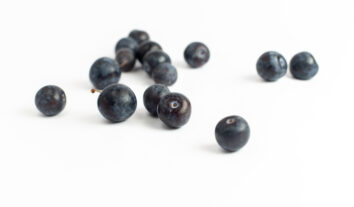 Jabuticaba: incluir a fruta na alimentação pode ajudar a emagrecer?