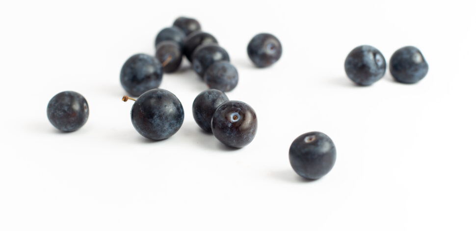 Jabuticaba: incluir a fruta na alimentação pode ajudar a emagrecer?