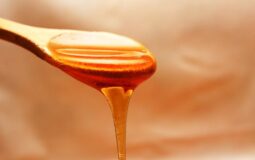 Ora-pro-nóbis com mel é rico em nutrientes e minerais; veja benefícios