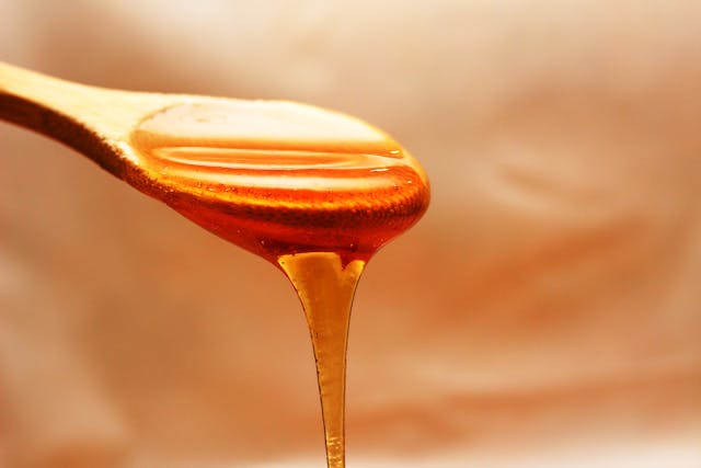 Ora-pro-nóbis com mel é rico em nutrientes e minerais; veja benefícios