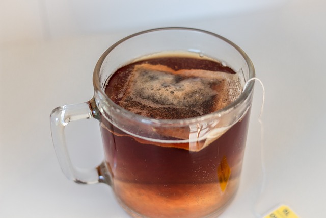 Chá de boldo é bom para o quê? Descubra benefícios