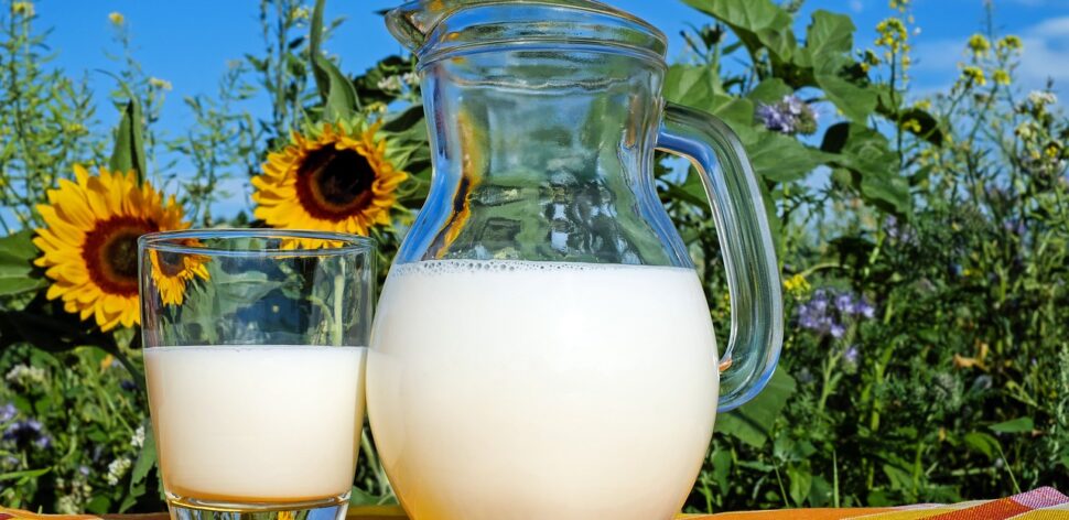 Testamos 15 marcas de leite integral e esses são os resultados