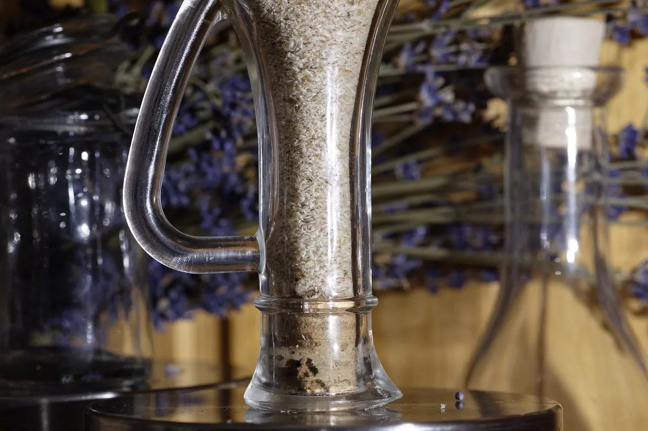 Psyllium: veja como essa semente pode trazer benefícios para o corpo