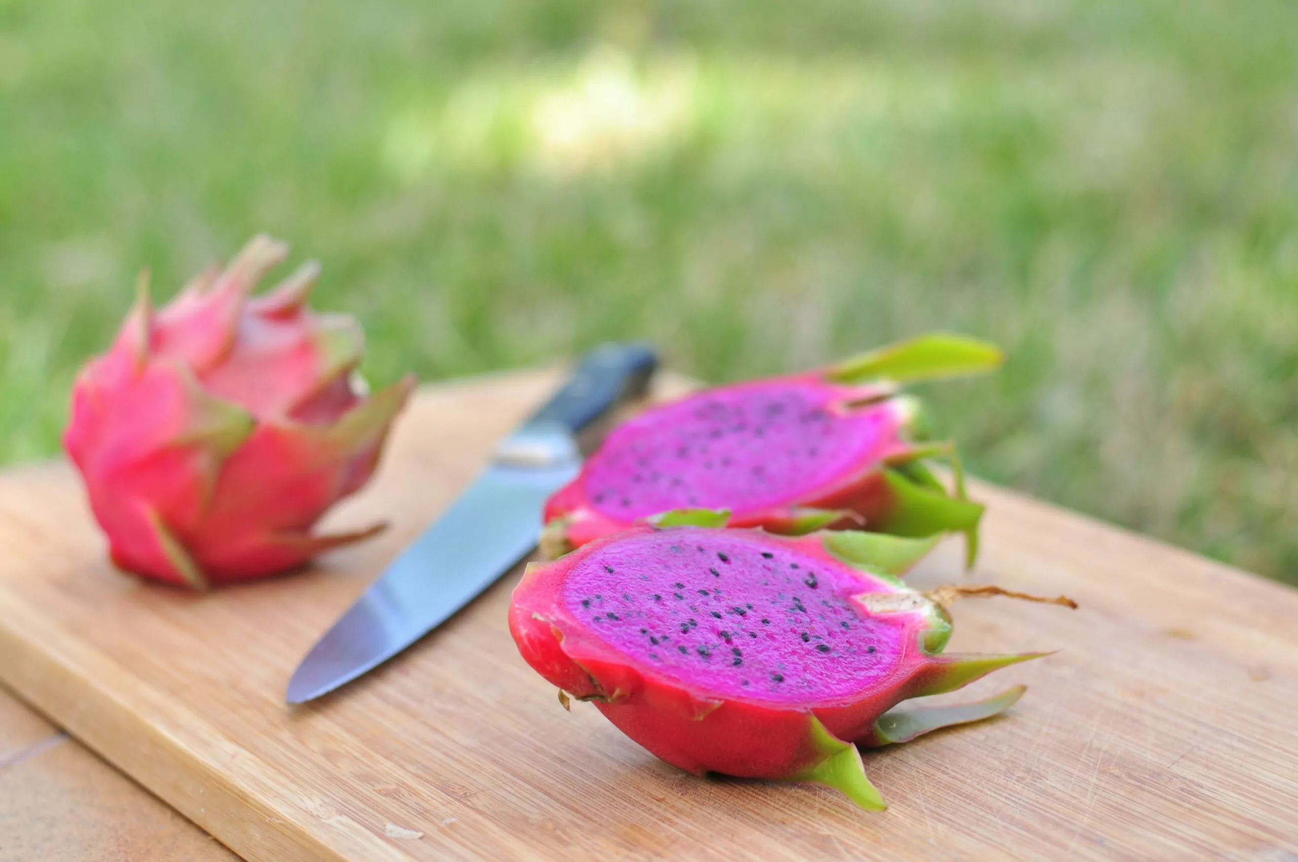 pitaya-cultivo-benefícios