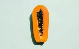 como-plantar-mamão