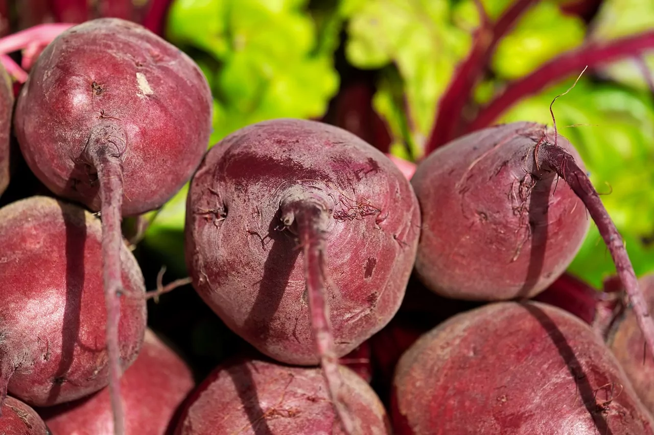 5 doenças que o suco de beterraba pode “curar”