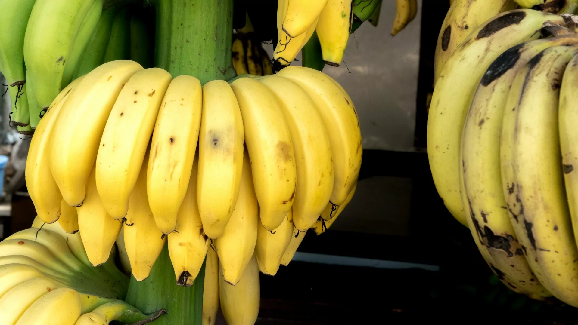 Banana: vilã ou amiga da dieta? Descubra se essa fruta emagrece ou não