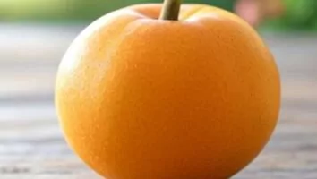 Abricó: para que serve essa fruta pouco conhecida? Veja benefícios