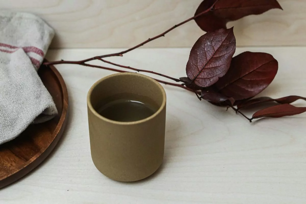 chá 1 - MinhaSaúde O chá da folha de nespereira reúne sabor suave e propriedades estudadas na saúde | Imagem: Pexels