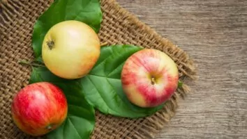 Além de melhorar a digestão, veja outros benefícios da maçã