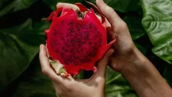 Pitaya: descubra efeito desconhecido da fruta no corpo